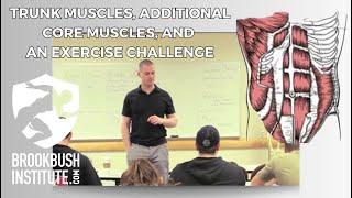 Trunk Muscles and Additional Core Muscles