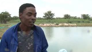 UNAM Fisheries and aquatics graduate, Fillips Sheehama starts a fish farm at Okapya Village- NBC