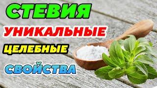 ЭТО ЧУДО ЛЕКАРСТВО, ПРОДЛЕВАЮЩЕЕ ЖИЗНЬ! Полезные свойства Стевии на человеческий организм.