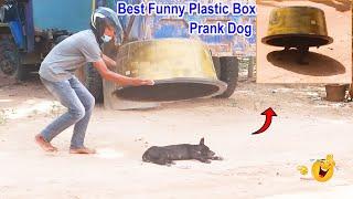 Best Funny Plastic Box Prank on Dog, Super Funny Video Must watch @슬롯보라