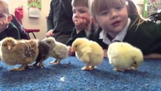 Pupils at Sneyd Green Primary School with their Easter chicks