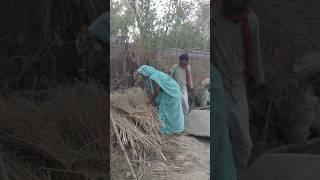 #TIMELAPSE: START to FINISH AloneBUILD LOG Cabin (Wooden House), How To Build Wooden Cabin, Survi
