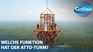 325 Meter über dem Amazonas: Welche Funktion hat der ATTO-Turm?