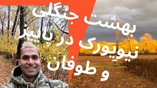 جنگل پاییزی نیویورک و طوفان شدید باران،    David Weld Sanctuary