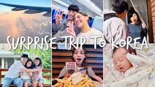 SURPRISE TRIP TO KOREA | FAMILY REUNION AFTER 4 YEARS | Korean & Brazilian International Couple 