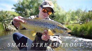 This Small Stream Had AWESOME Fly Fishing! (Big BROWN TROUT)