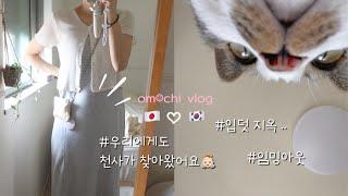 [om︎chi TV]한일부부vlog약 3개월간 영상이 안 올라온 이유는 바로.. | 심했던 입덧과 최근 근황 이야기 ㅎ.ㅎ | 일본에서 임신 5개월차에 하는일들~ #일본일상