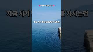 구독하고 포인트 공유받기 #욕지도 #통영낚시 #욕지도낚시 #욕지도원투낚시 #거제도낚시 #욕지도여행 #욕지도여행코스