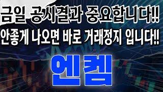 엔켐 - 금일 공시결과 중요합니다!! 안좋게 나오면 바로 거래정지 입니다!!