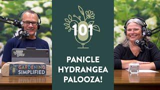 In Praise of Panicle Hydrangeas | South vs North Gardening with Dr. Allan Armitage | 101