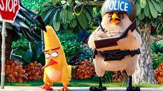 Chuck vs The Police Scene - THE ANGRY BIRDS MOVIE (2016) Movie Clip