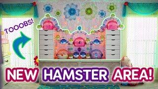  My New Hamster Area + Filming Studio! (Room Tour) 