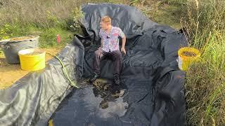 Biodiversity bomb detonated in the garden!