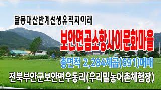 22-87[급매2억3천조정됨][보안면 우동리토지]천마산,달봉대산,보안제일교회,만화마을,계획관리,농림지역(691py)매매~