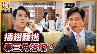 《八點檔搶先爆》好運來 EP52 插翅難逃 毒三角落網？