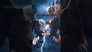 Golden eagle vs Bald eagle | ️ #baldeagle #goldeneagle