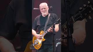 The Chord That Made David Gilmour A God