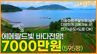 바닷가토지 7000만원으로 여유로운 전원생활이 가능한 595평토지 푸른바다 조망 확트인전망 전원주택 주말농장 농막용 토지로 추천!  촌집 시골집 고흥 전남 여수 순천 오름부동산TV