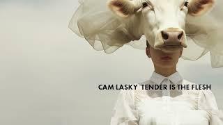 Cam Lasky - Scavenger (Original Mix) | TENDER IS THE FLESH pt.2 | KWAIOTO  Records