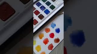 Trying Camlin Artist water colour cakes #art #artist #camlin #camlinartistwatercolourcakes