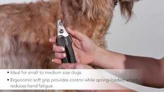 Andis Premium Pet Grooming Tools - Small Nail Clippers, 65260