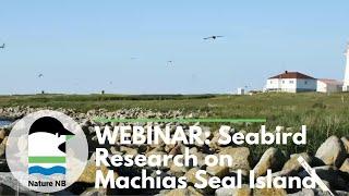 Seabird Research on Machias Seal Island | Webinar