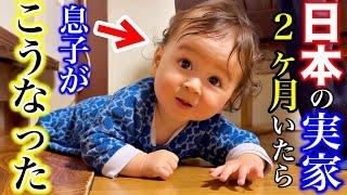 A day in the of Japanese-Swiss baby in Japan | funny baby