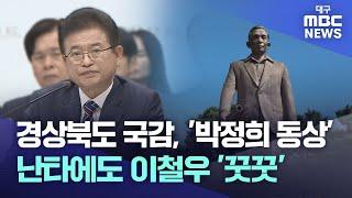 경북도 국감, '박정희 동상' 난타에도 이철우 '꿋꿋' | 대구MBC뉴스