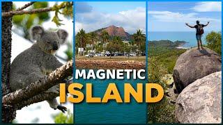 MAGNETIC ISLAND:  Australia's MOST SPECIAL Little Island!? Koala & Wallaby PARADISE 