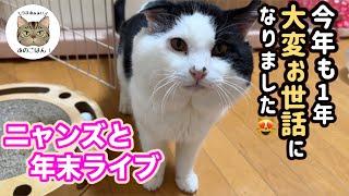 大晦日【福猫ライブ配信】今年も本当にありがとうございました！