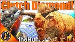 CLUTCH Gold Fur Diamond Wildebeest on Vurhonga! | theHunter Call of the Wild