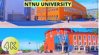 【4K】Taking A Walk From Studentersamfundet  To NTNU- University (Norway Best University) Virtual Tour