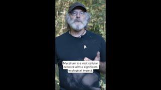 Paul Stamets on Mycelium (Part 1)