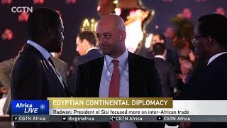 Deepening ties with African nations prepares Cairo for top AU seat