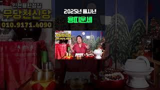 미리보는 2025년 을사년 용띠운세