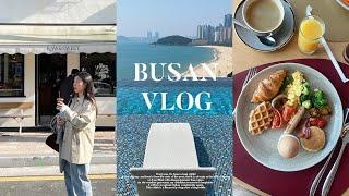 Busan Trip After 6 Years Vlog