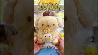 Unboxing Sanrio Pompompurin 2023 Lucky Bag ASMR #shorts #asmrunboxing #pompompurin #kawaii