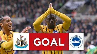 GOAL | Yankuba Minteh | Newcastle United 1-1 Brighton | Fifth Round | Emirates FA Cup 2024-25