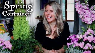 Planting a Vibrant Spring Container in France | Winter Gardening Inspiration | Our Cottage Garden