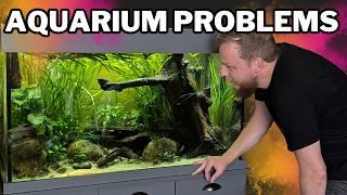 LETS FIX THIS! Axolotls, Algae, Cyanobacteria, Duckweed and a NEW surface skimmer.