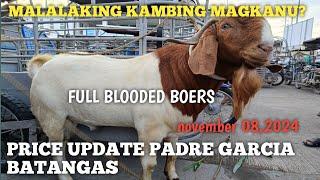 Malalaking Ganaduring Kambing Padre Garcia Batangas..