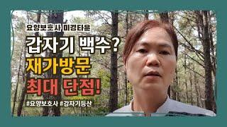 재가방문 요양보호사 최대 단점 ㅣ 갑자기 백수가 되어 등산을 한 이유는?