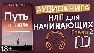 Аудиокнига. Путь НЛП практика. НЛП для начинающих. Книги по НЛП. Аудиокниги.  Аудиокнига НЛП