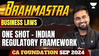 One Shot | Indian Regulatory Framework | Partnership Act | Business Laws | CA Foundation Sep 2024