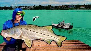 The Secret To Catching BIG Snook on Swimbaits...