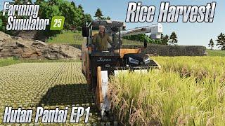 Farming Simulator 25 - Hutan Pantai Rice Harvest! EP1