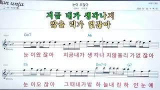 눈이 오잖아/이무진악보, 노래,기타 코드,가사,Karaoke*가라오케 반주