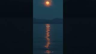 anil Emre Daldal - M. || yours words your eyes
