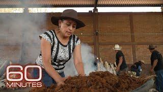 Mezcal producers preserve traditional methods as demand for liquor grows | 60 Minutes