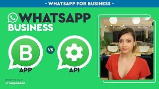 WhatsApp Business: App Vs API